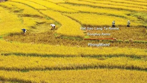 Hotspot Matrix – Giải pháp toàn diện cho thời đại video ngắn và tiếp thị số_Học biên tập video trực tuyến